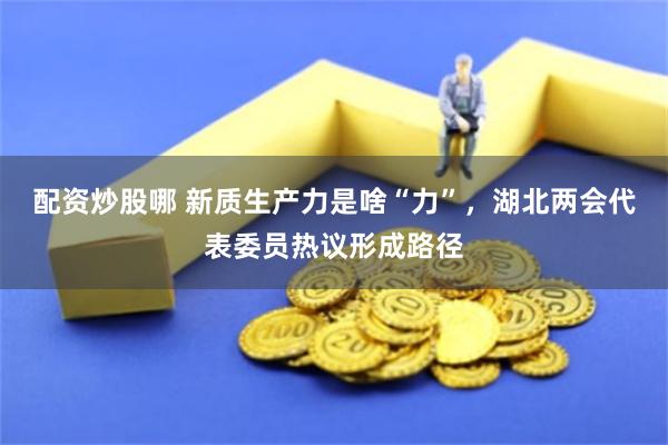 配资炒股哪 新质生产力是啥“力”，湖北两会代表委员热议形成路径